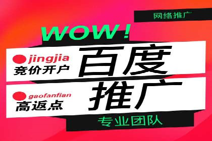 SEM代运营服务公司成功案例解析